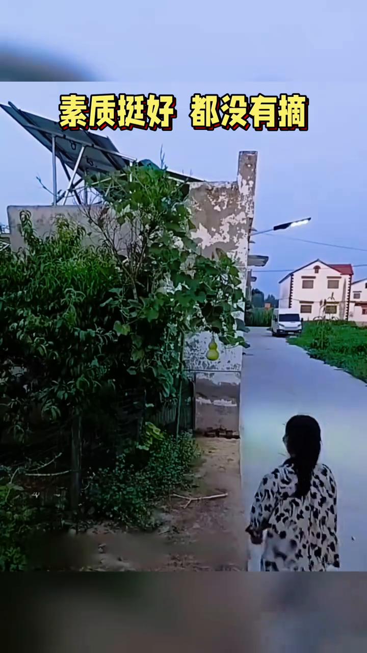 素质挺好都没有摘。
近日河南。