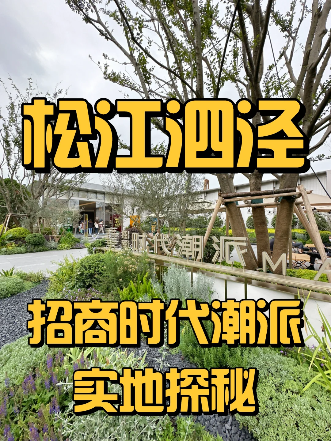 【实地探秘】松江泗泾《招商时代潮派》❗❗