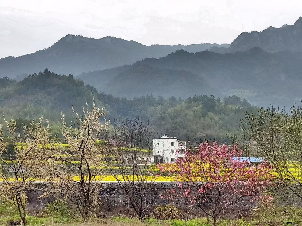 水墨画般的风景有多治愈置身山野间，看春风拂过田野，桃花灼灼，油菜花香。心一下子就