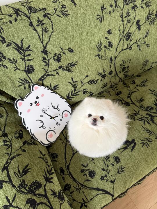 饱饱 长出脚脚、、、🐾