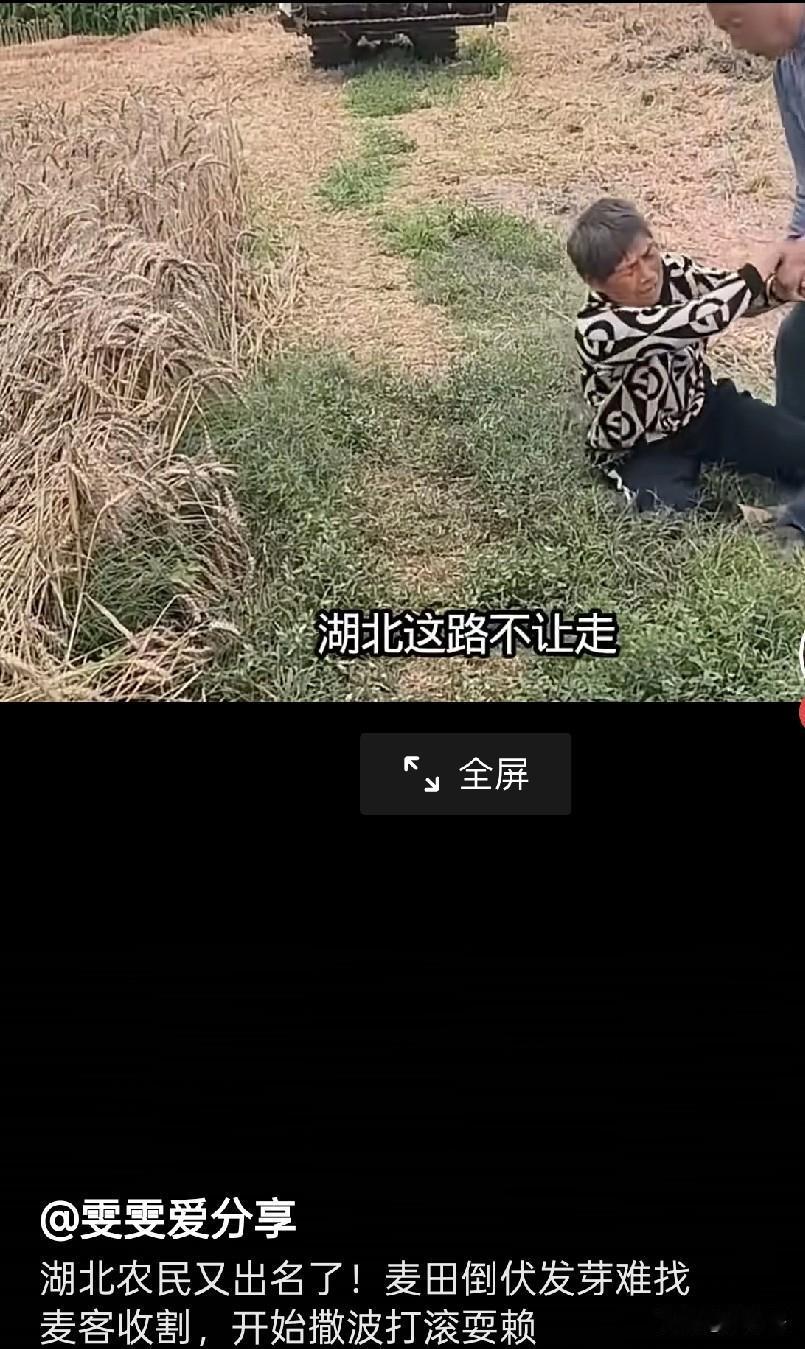 一行人在湖北当地进村收麦时遇上了闹心事，田间小路被农户阻拦通行，本该好好协商解决