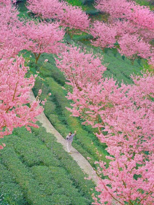 好美啊🥹不是大理，是广东啊，嘴够严的