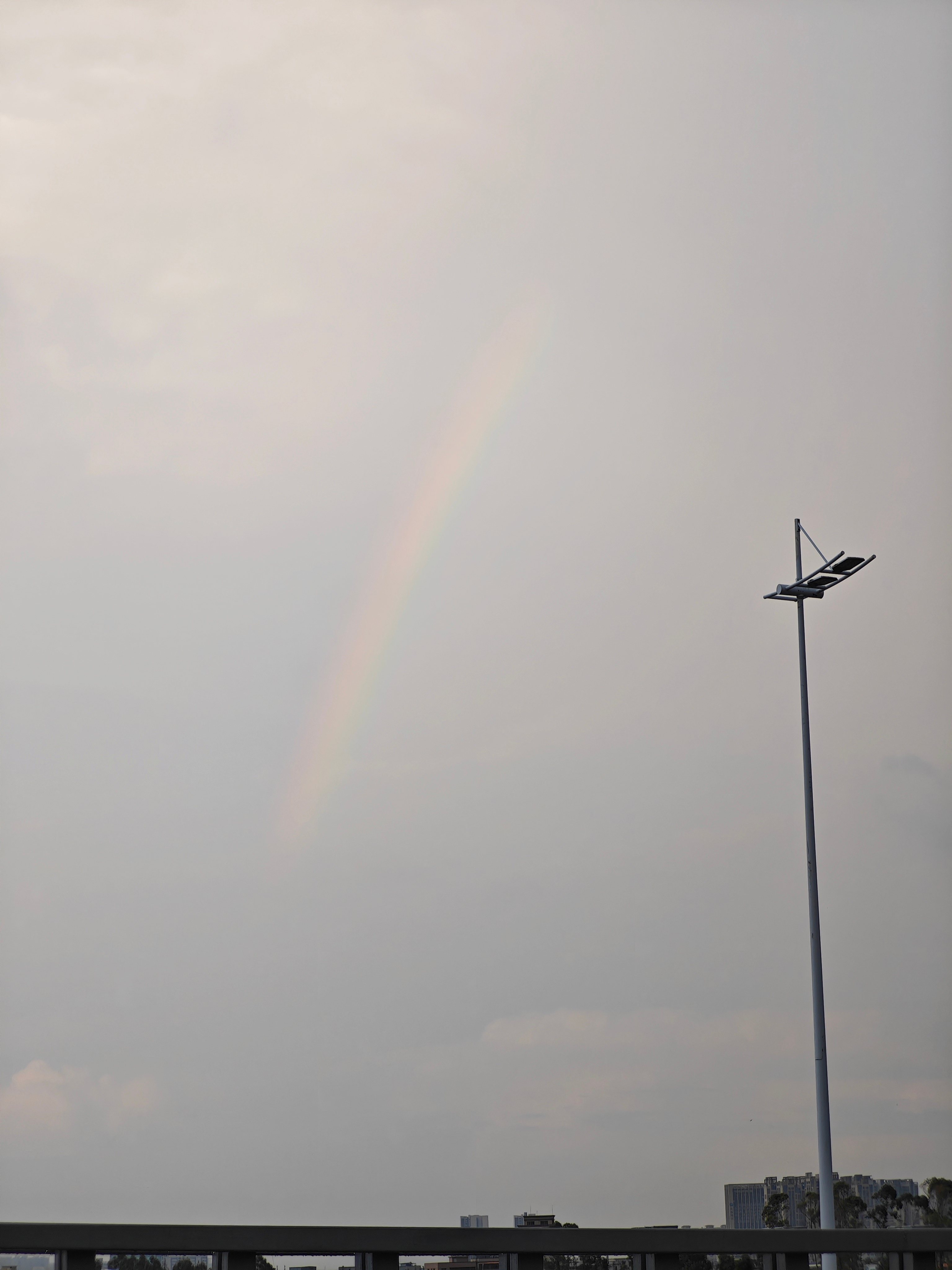 如愿以偿🌈 ​​​