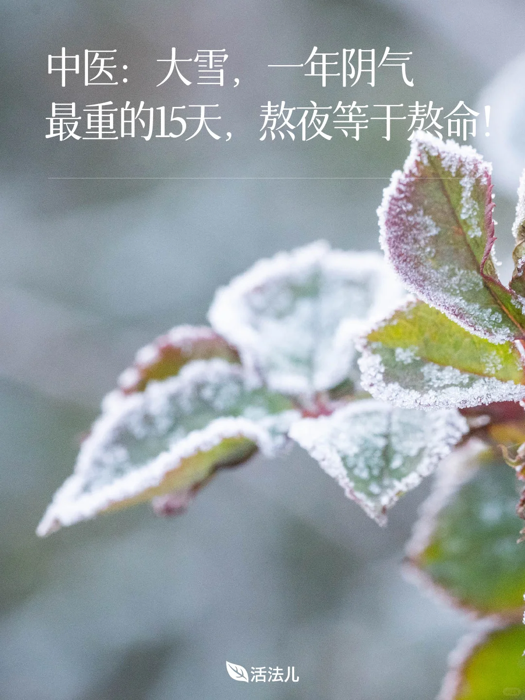 大雪，一年阴气最重的15天，千万不要熬夜！