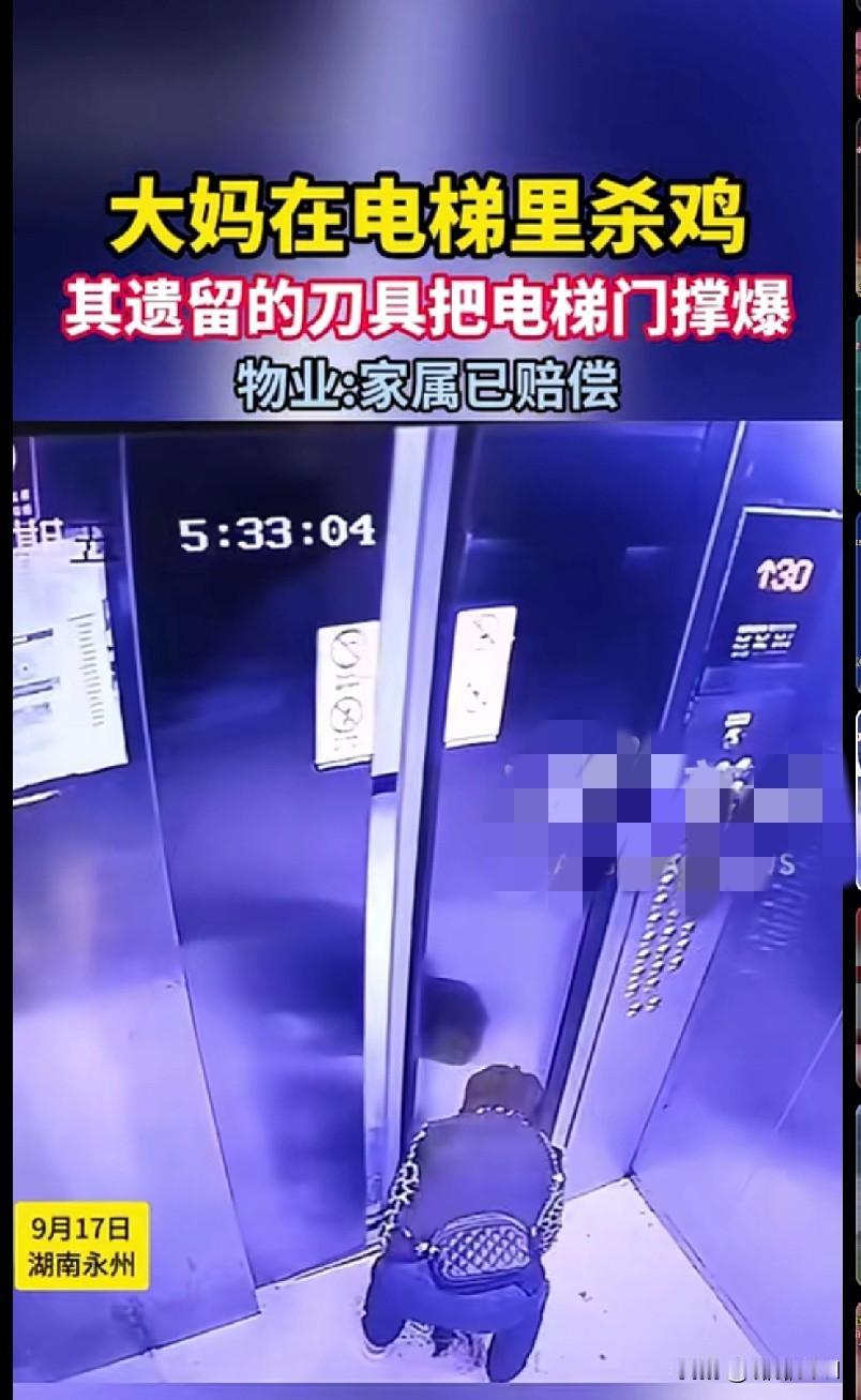 什么素质啊？“我的天！
湖南永州一电梯里惊现‘杀鸡现场’，大妈这操作也太绝了！杀