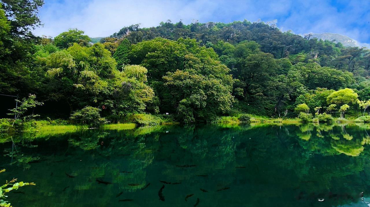 南京今天这天气简直是神仙下凡啊！25度的气温，不冷不热刚刚好。既没有雨来捣乱，也
