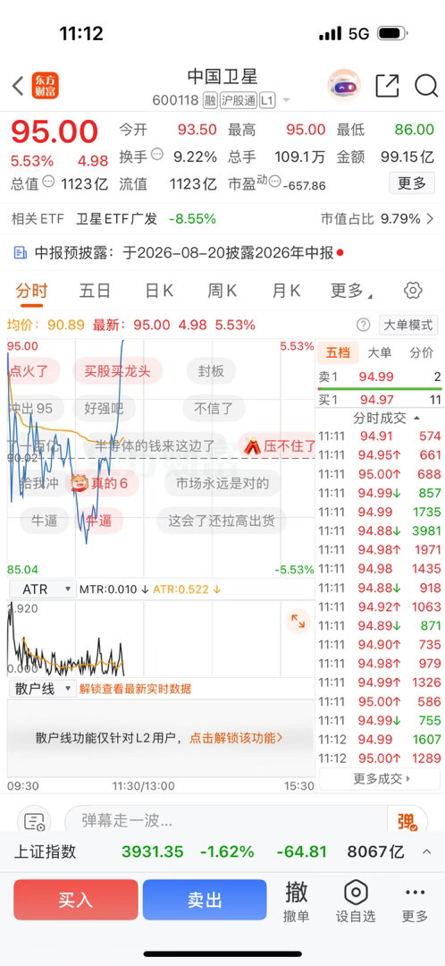我真的服了，我这是被针对了呀，卖了就拉起来了，早上还没没扛过去
