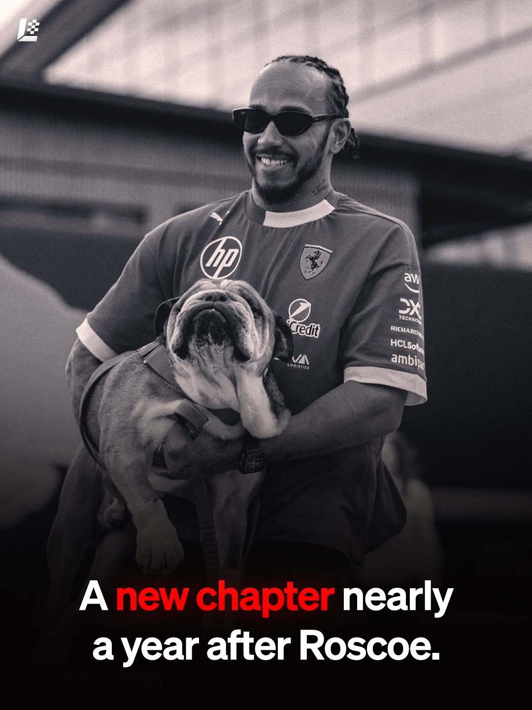 汉密尔顿 刘易斯·汉密尔顿有了一位新朋友。🐶❤️这位七届世界冠军迎来了一位新成