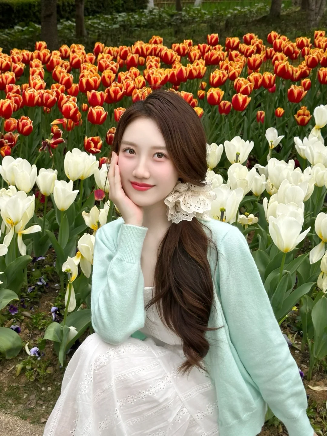 赶一个郁金香的末班车🌷