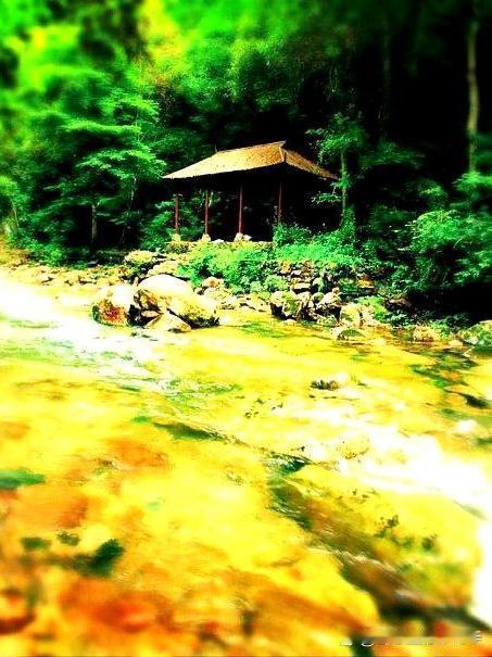 🌿醉山野景区门票攻略｜避开人潮省💰

刚打卡完池州醉山野景区，整理了超详细门