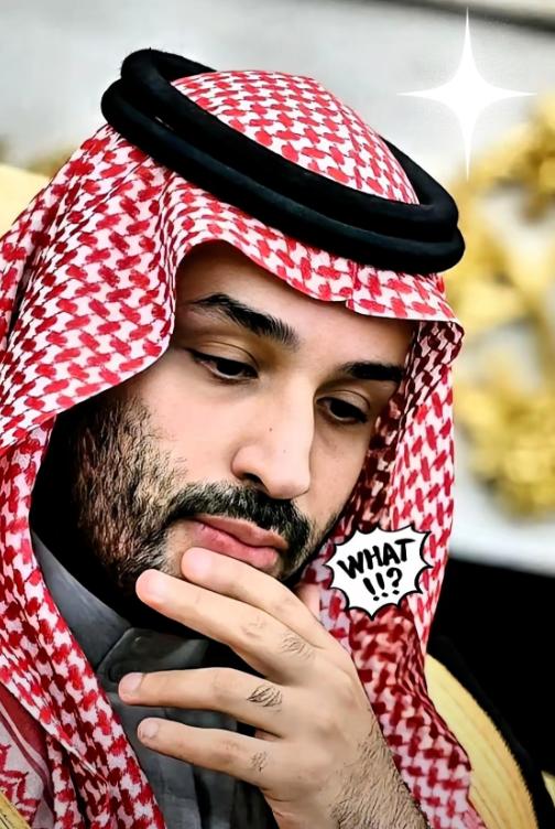 沙特这回是真把桌子给掀了。25艘超大油轮，满载5000万桶原油，完全不理会霍尔木