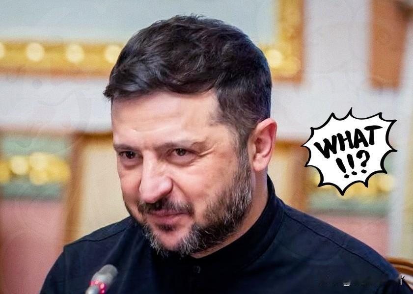 最新消息！乌克兰连夜官宣！

2026年1月31日晚间视频讲话中，乌克兰总统泽连