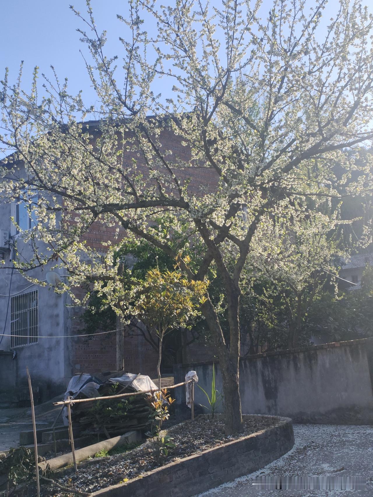 春暖花开，正是吟诗赏景的好时候。有诗言“东君送暖入千家，陌上缤纷绽物华”，把春日