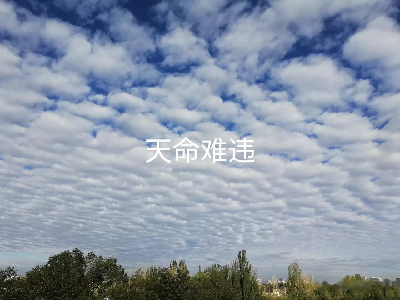 天命难违
人生所经历的一切，都是命中注定，无法更改。
历史上的盛唐，李世民拥有世