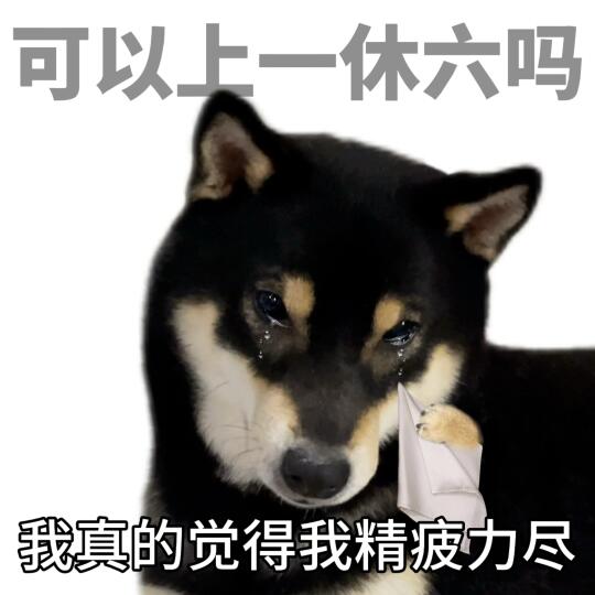 表情包|珍的撑不住啦😭