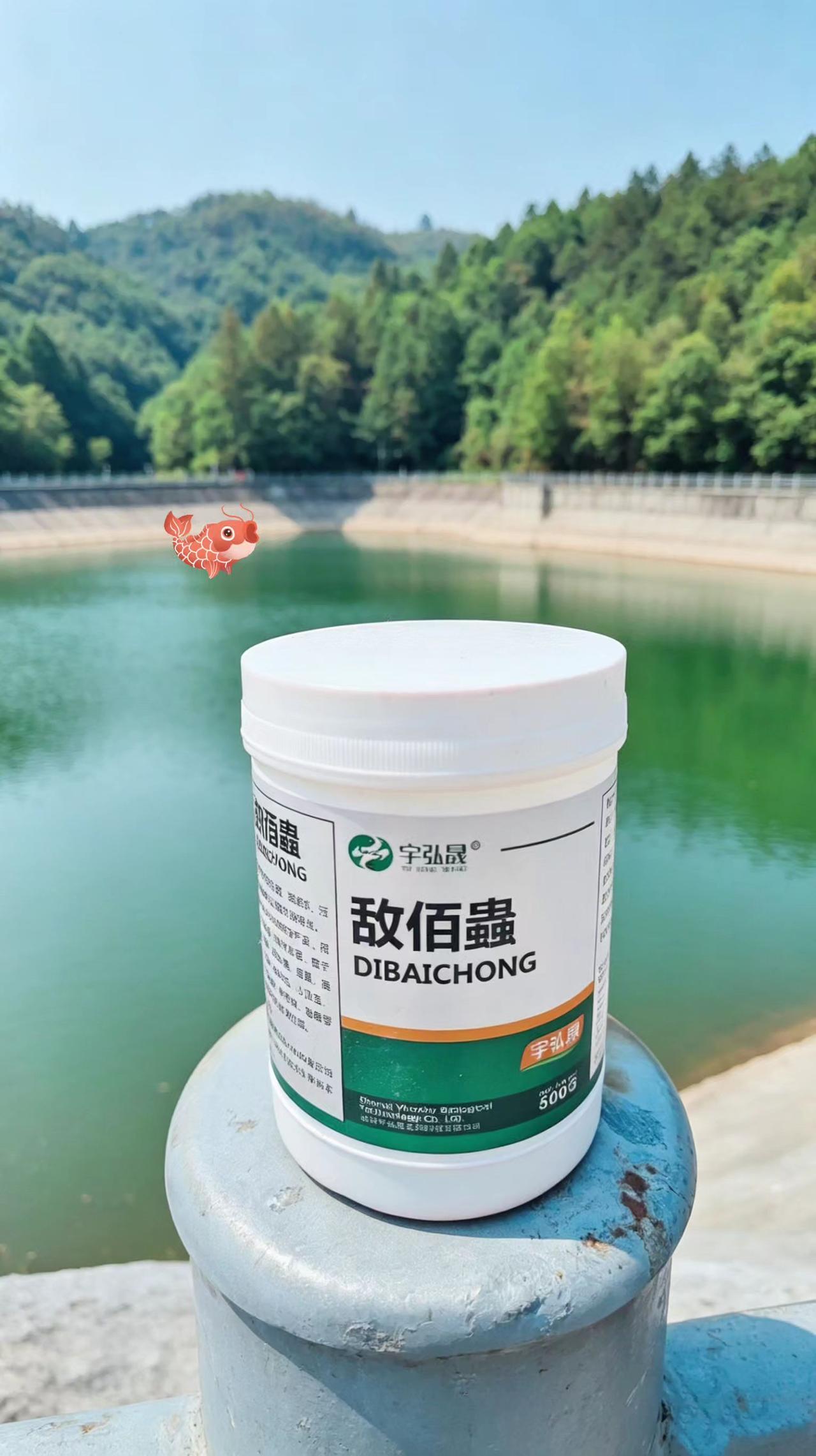 敌佰蟲 鱼塘养殖 鲢鱼 鲤鱼 草鱼