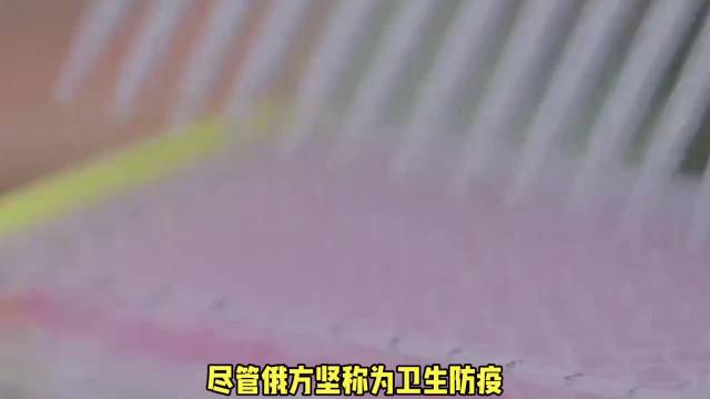 俄罗斯官方坚称防疫形势稳定，但民众拍到妇幼保健中心已完全隔离。一线医护人员私下坦言：这种病比新冠更可