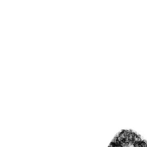 每日一善[超话]  每日‬一善  [心] 阳光信用  只把一件事做好，就是生活本