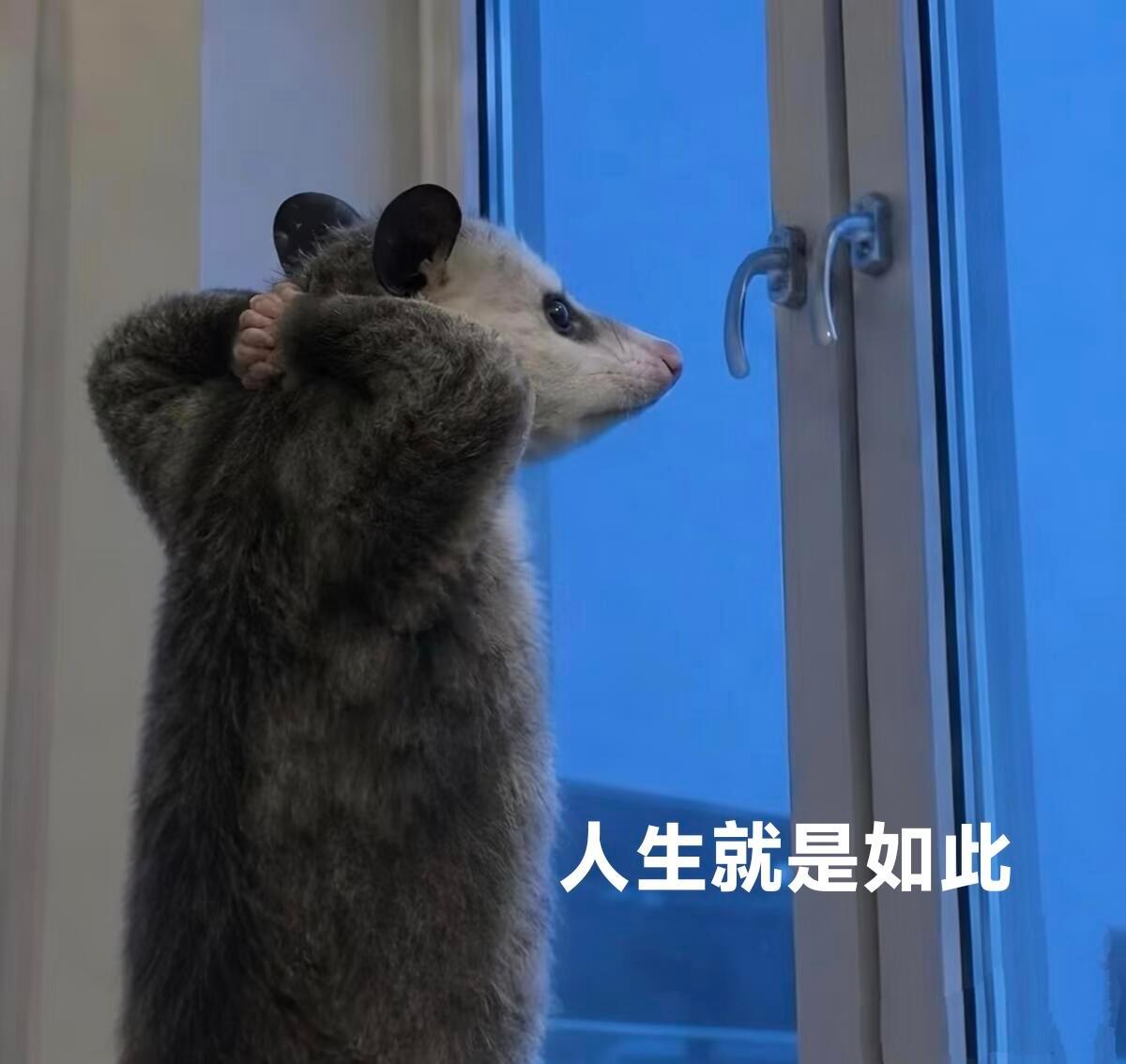 不少打工人都栽在这些隐蔽的求职收费套路上面。不过平台的态度还很明确，这点不错，B