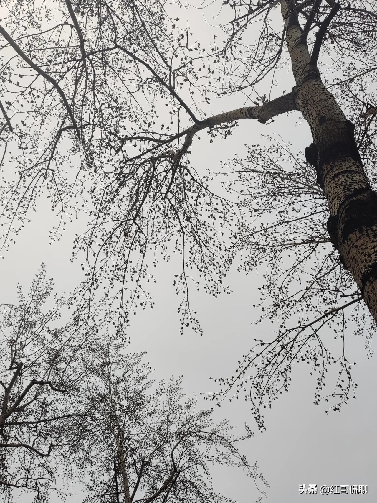 日本右翼和台当局，不识时务，暗地勾连，我们必须保持高度警惕，一个野心勃勃，一个垂