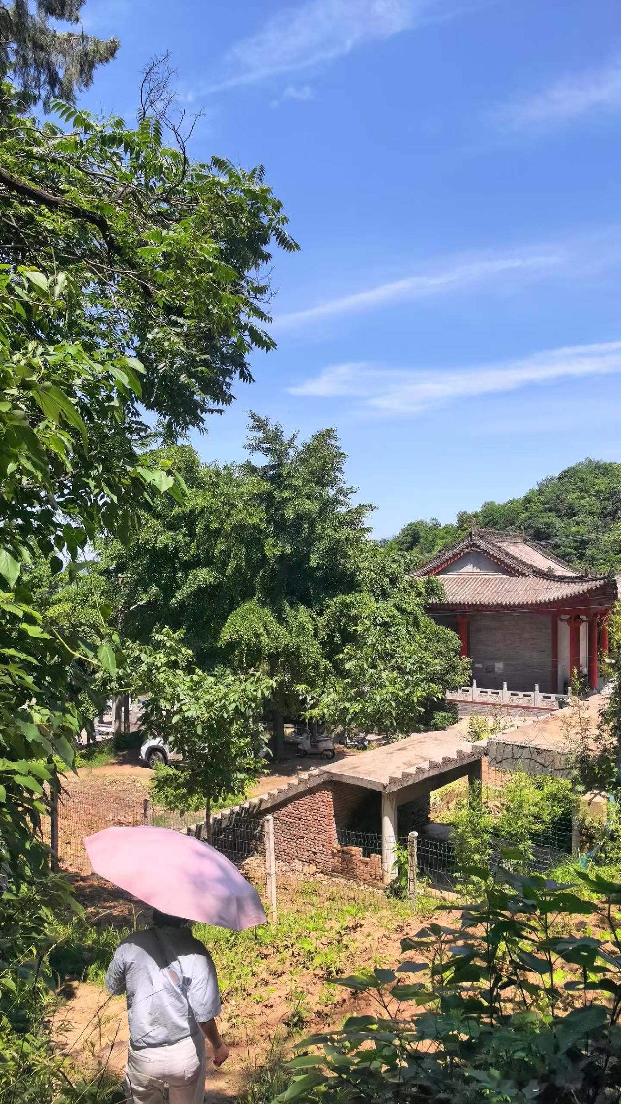两个蚊子，一起向我扑来，我本能地举起手，却又缓缓地放下了，两只蚊子见我不反抗，得