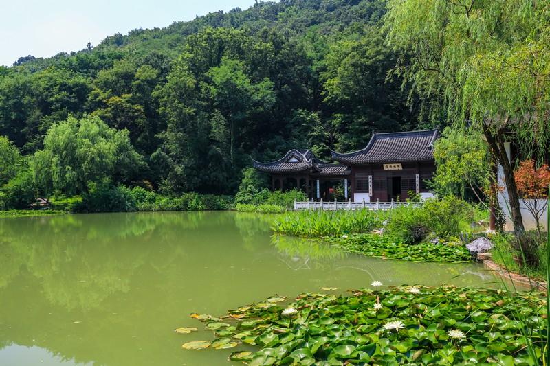 雨后河畔

路灯在水洼里
种下弯曲的光
柳树垂落的寂静
被蛙鸣一粒粒串起

它们