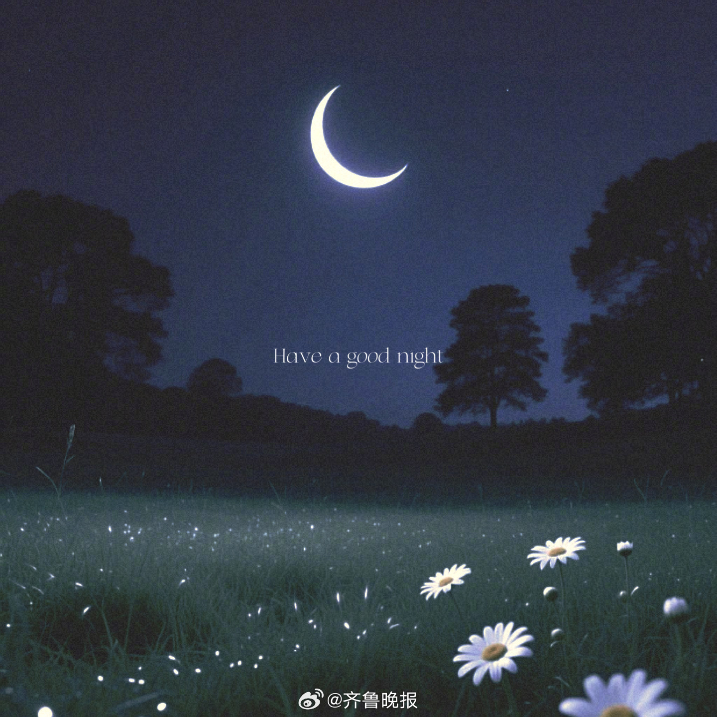 夜已深安心睡明天又是新的一天 #晚安#