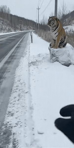 哥们这一把摸下去，不知道最终的结局是啥样？