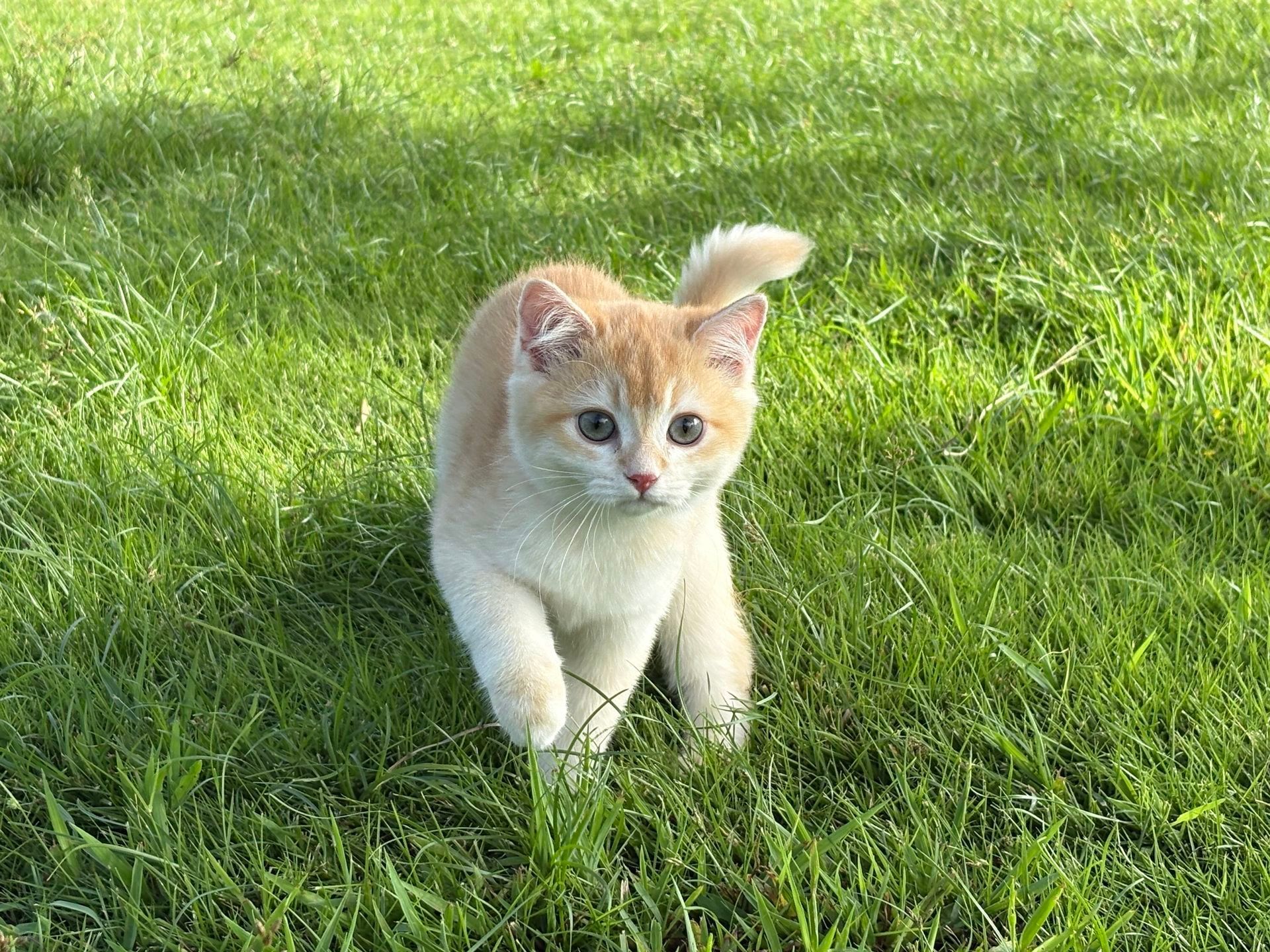 omg 这个侯明昊和小猫怎么相似度100%啊 ​​​