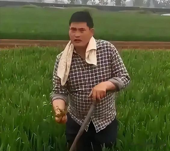 以前看大衣哥的视频，发觉他在乡下的院子，总感觉乱糟糟，每次回去都是对着镜头在收拾