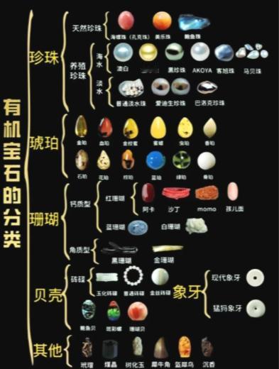 天然有机宝石到底有多少种？带你一图看懂