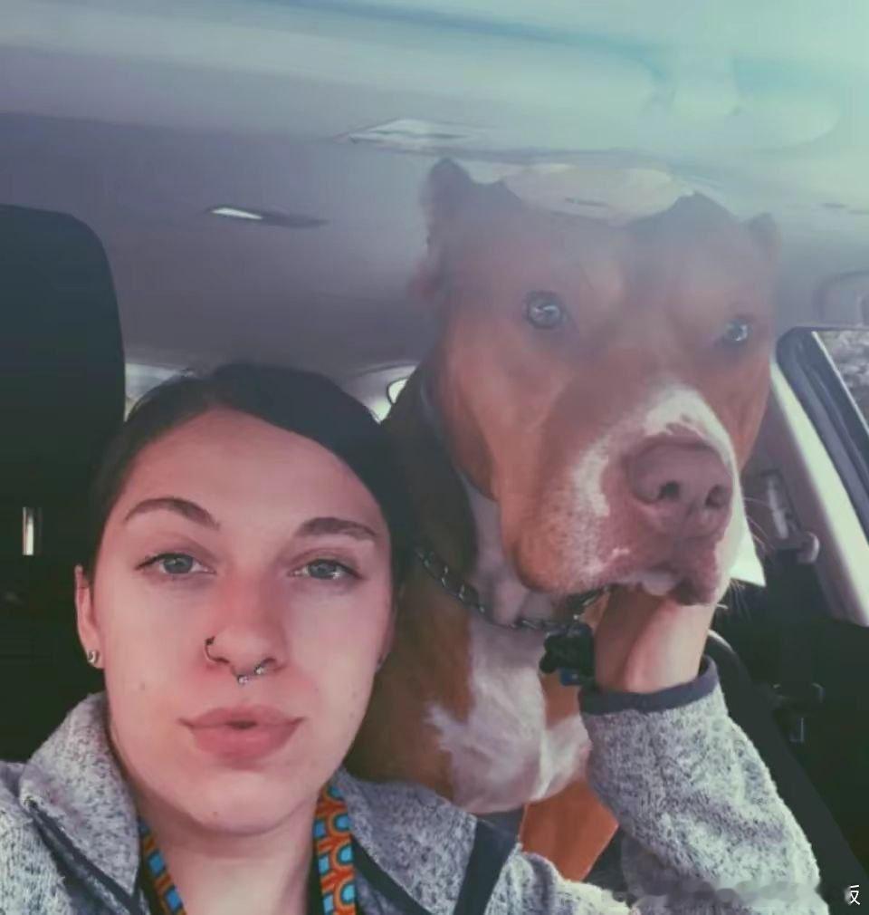 美国女孩遭家犬咬掉鼻子，有点像把狗的鼻子按上了，恢复好了以后用激光把毛囊烧了就行