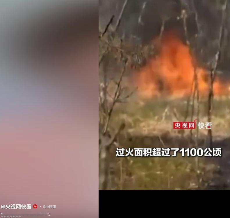乌克兰国家紧急情况局在8号通报，切尔诺贝利核电站核心区发生了大火，当天上午，火势
