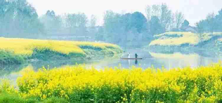 年年岁岁花相似，岁岁年年人不同。成长就是不断地与过去的自己告别，哪怕步履蹒跚，也