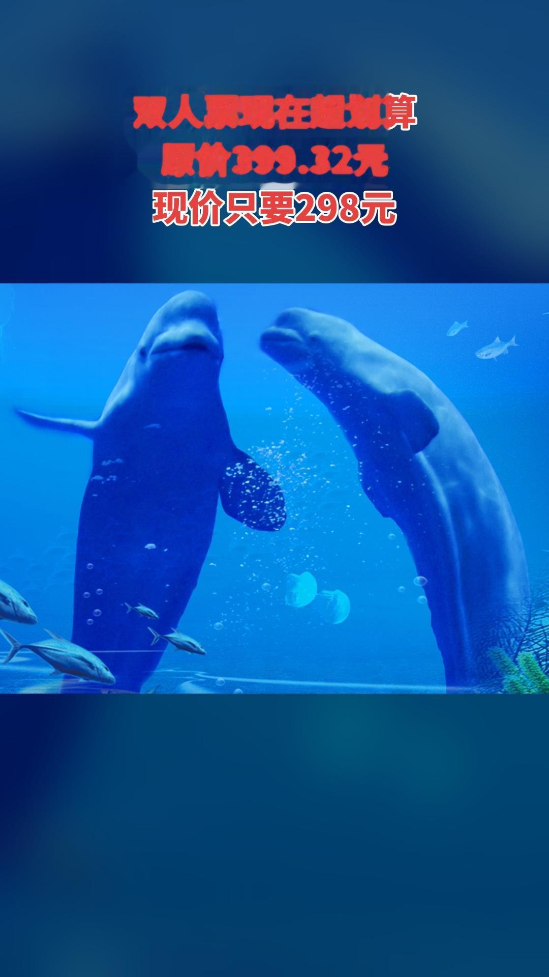 冰雪海洋世界，上新啦！快来买它，【双人票】，景区官方、随时退·过期退...