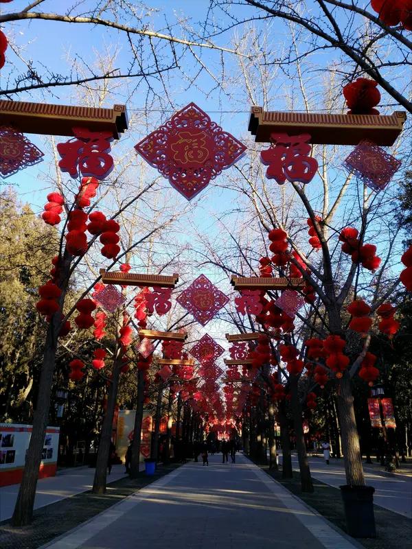 我正在参加天南地北大拜年活动，这活动太香了！每日完成任务就有机会瓜分80万现金红