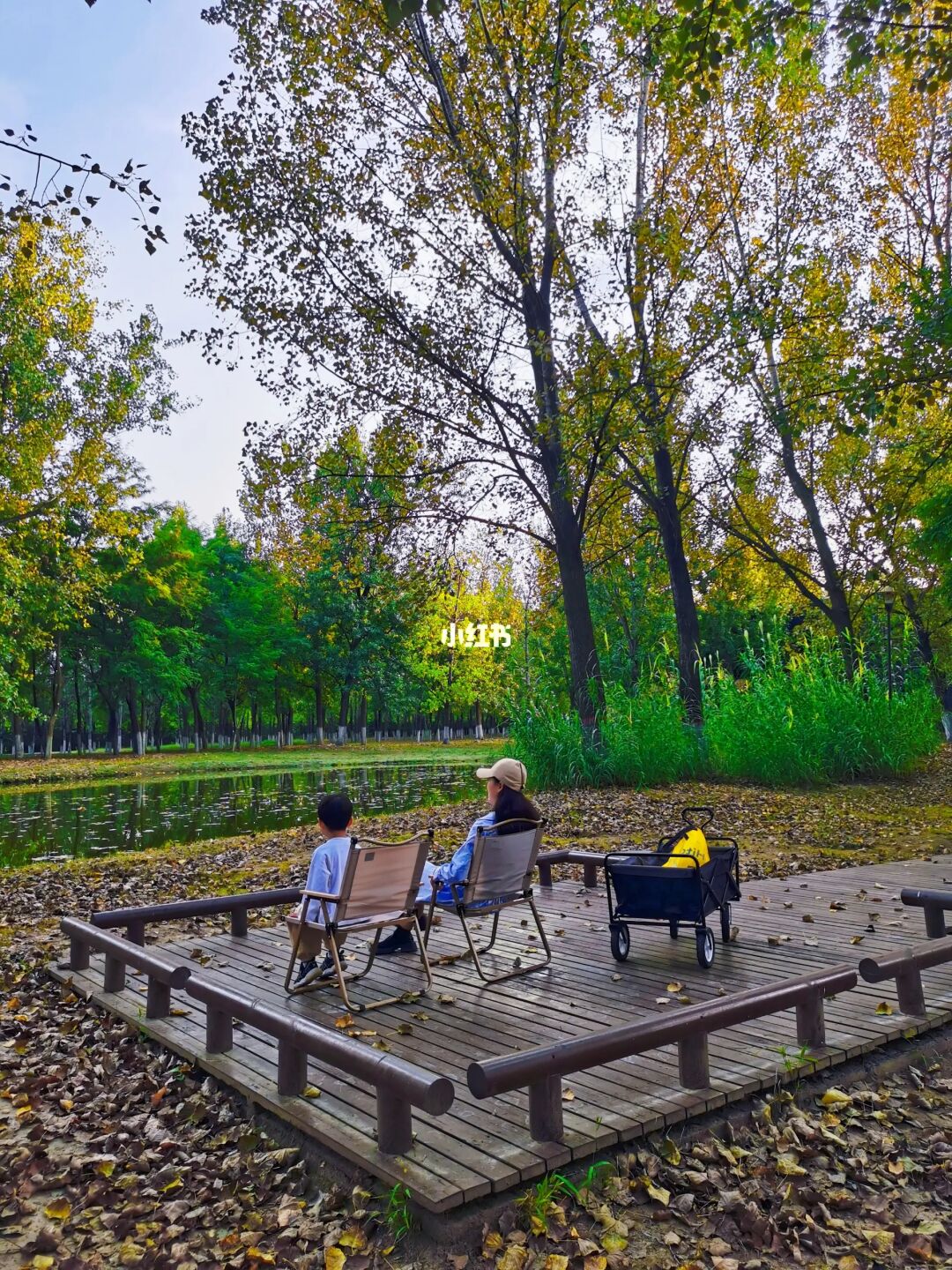 朋友圈被问疯了！真的是西安的免费露营地！