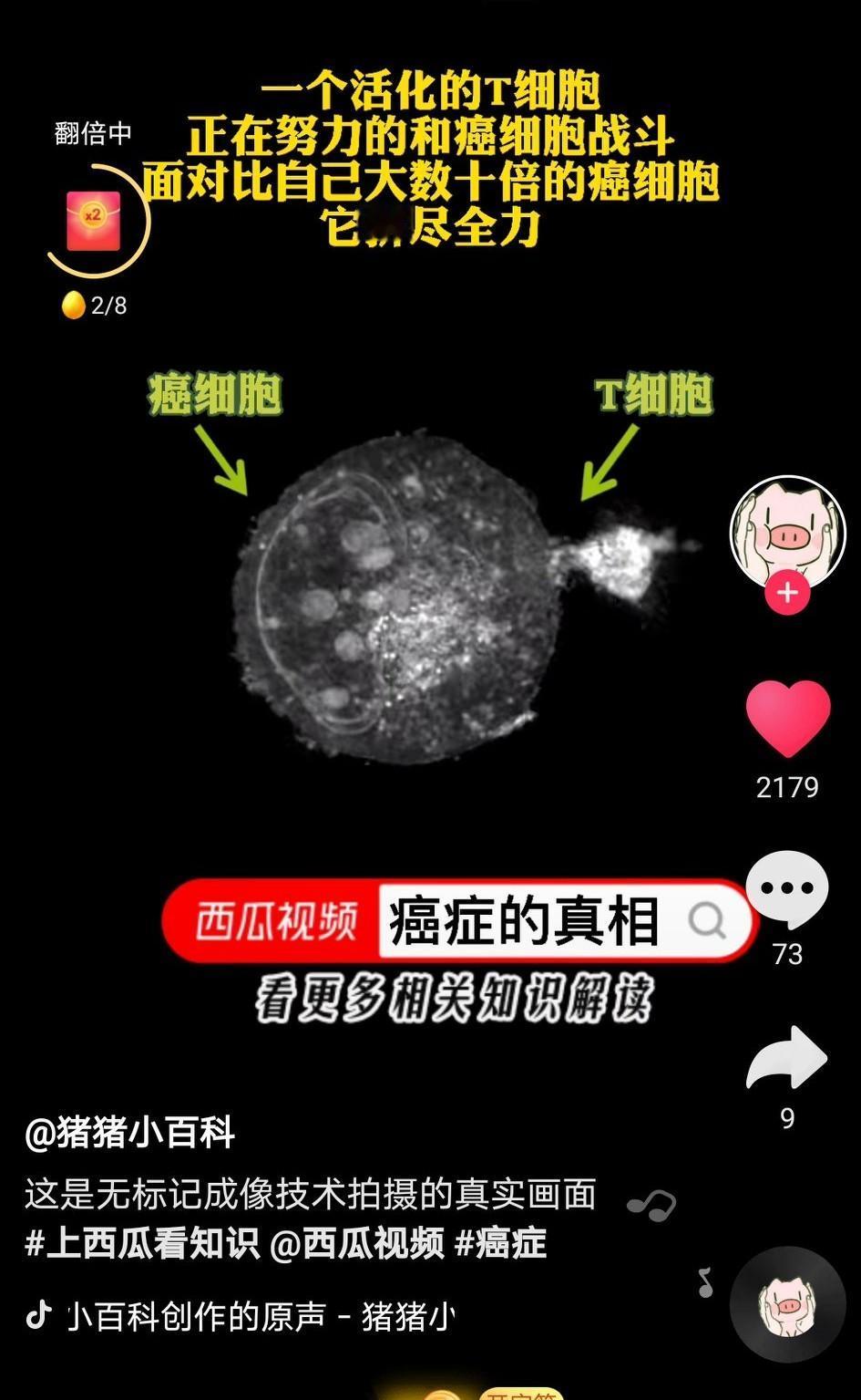 [可怜]总感觉西医对于癌症的治疗是跑偏了方向，导致的结果就是对于癌症患者没有一个