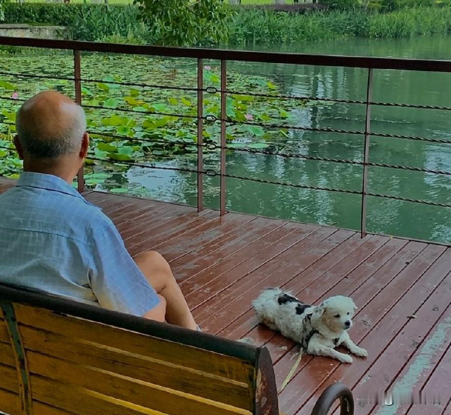 退休后，怎样生活才算幸福？

早晨，发现页刷到文友@峄县西门里老李 的一篇文章: