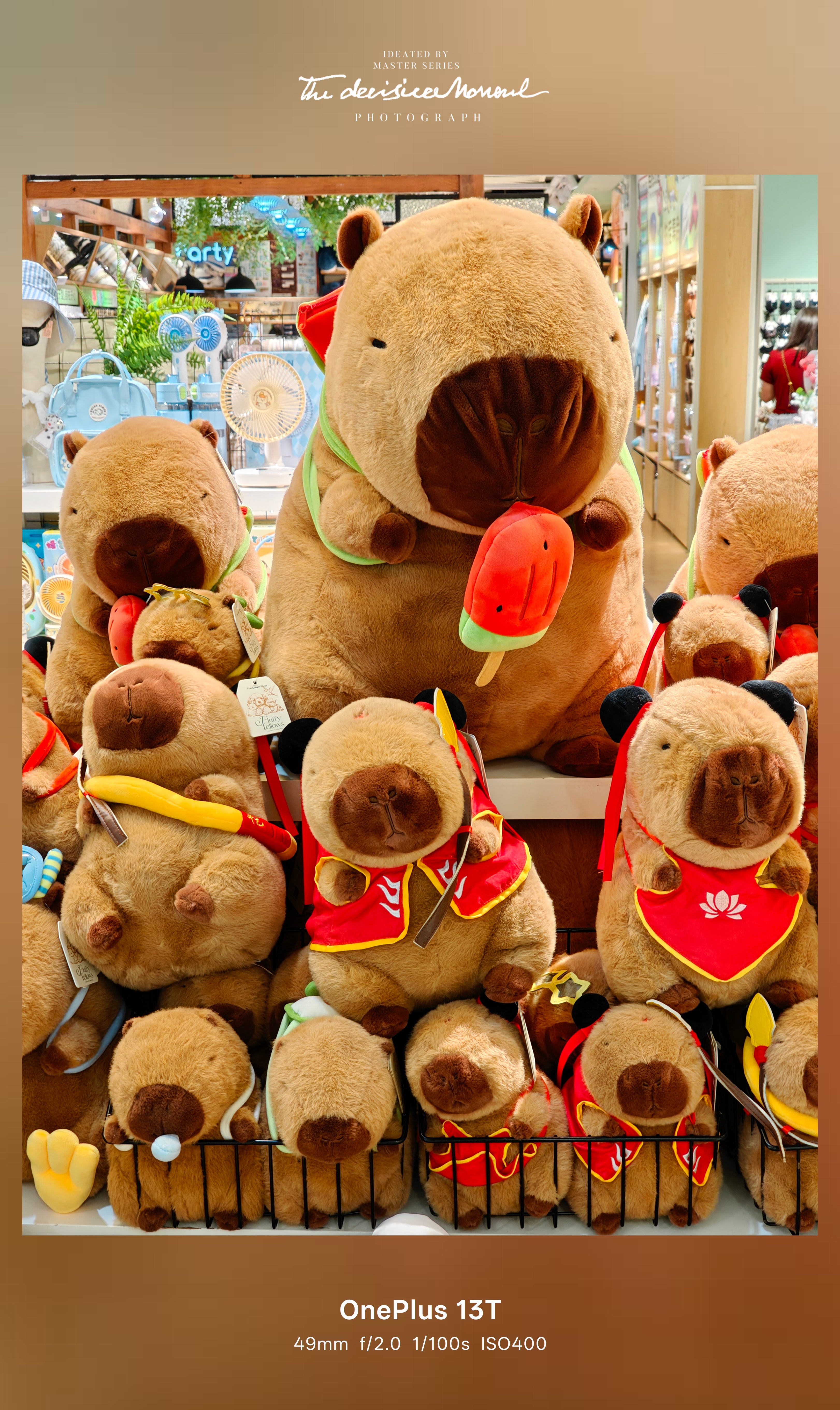 假期生活，可可爱爱！🐻🐱🐶 生活手记 一加13T的5000万超光影双摄还是