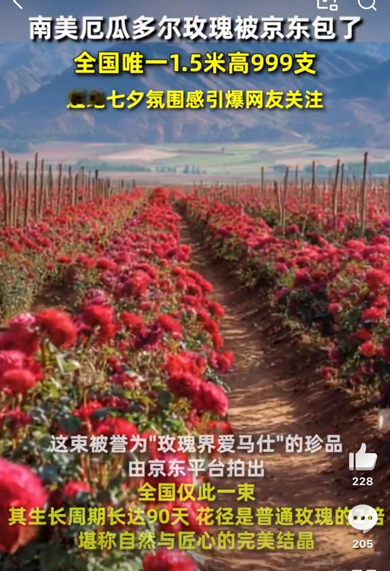 线上买鲜花最好的渠道来了，JD鲜花业务升级，计划今年全球包销超 1 亿枝鲜花，进