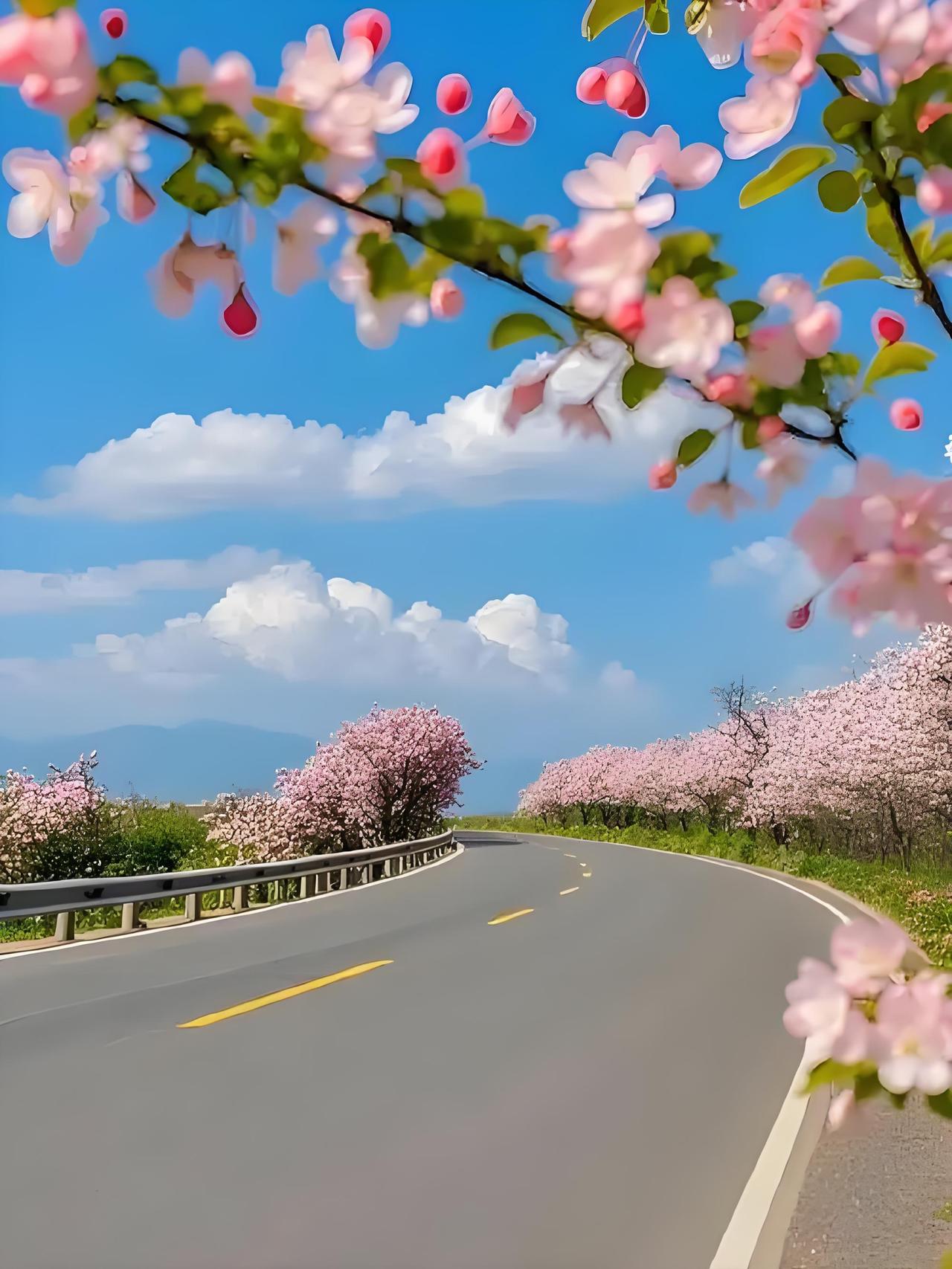 今年春天最想实现的心愿，是日子安稳，身心从容。不必追赶匆匆步履，少一些焦虑纷扰，