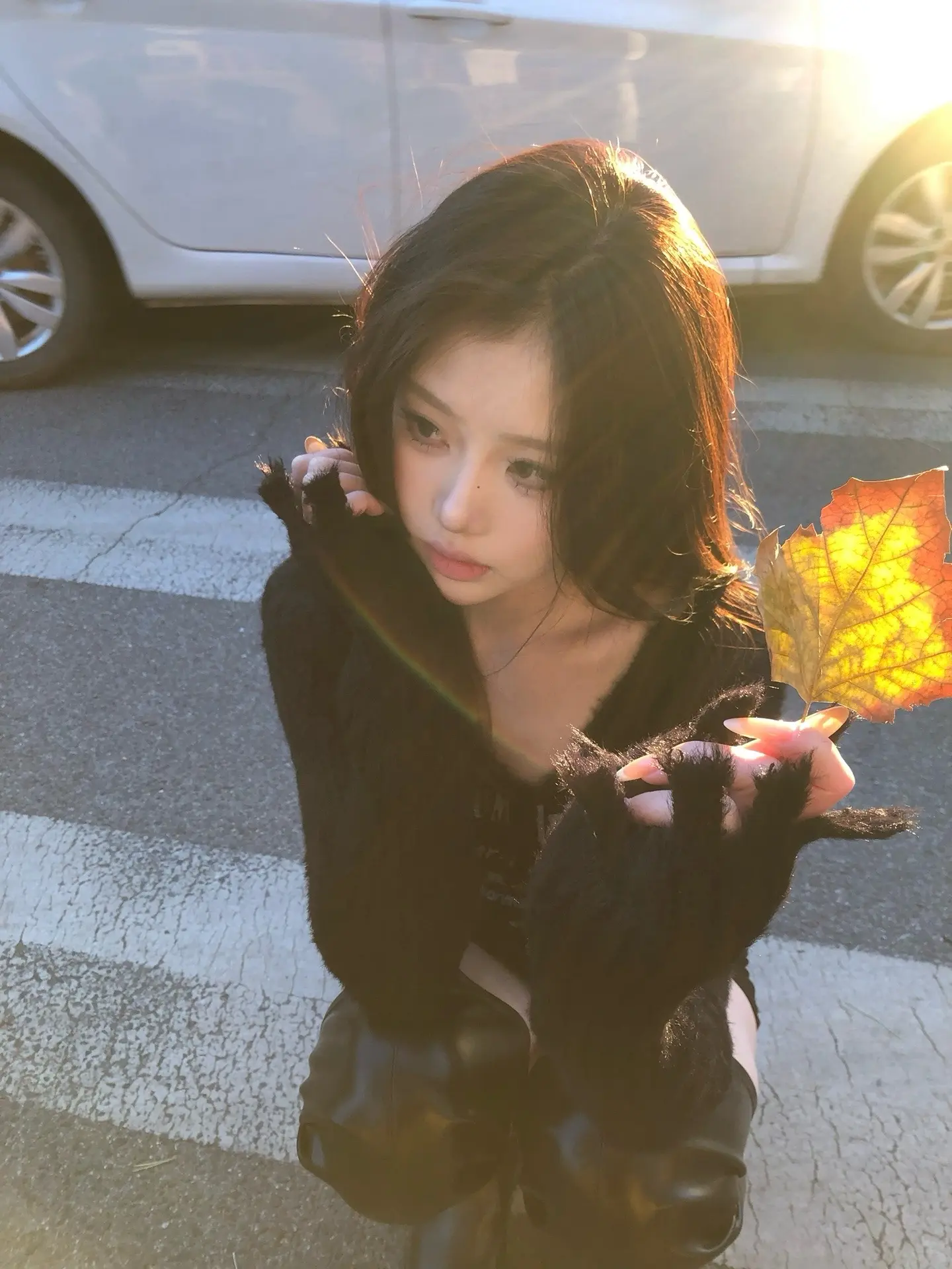 我不是17岁的愣头青 我不会在疯狂的爱上谁了