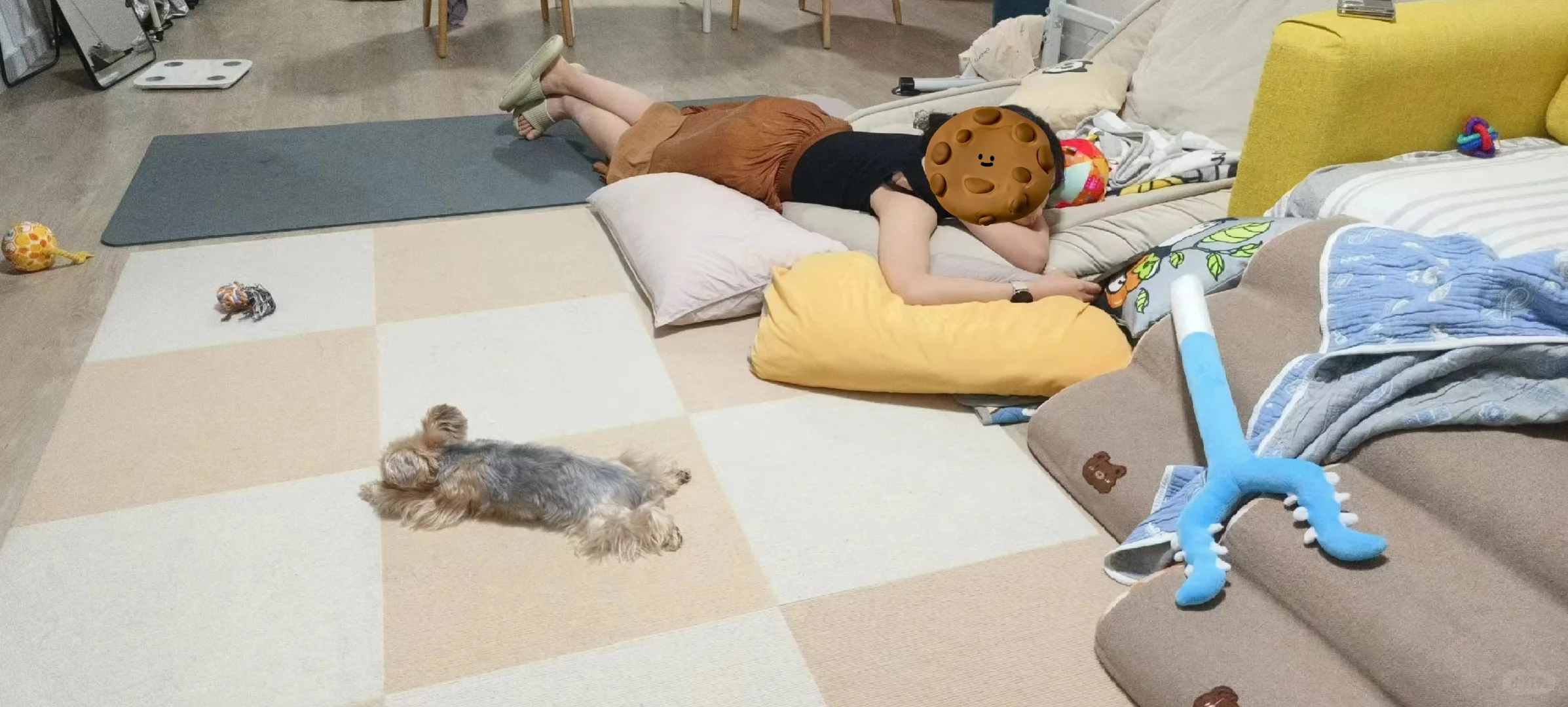 有其姐必有其狗😅