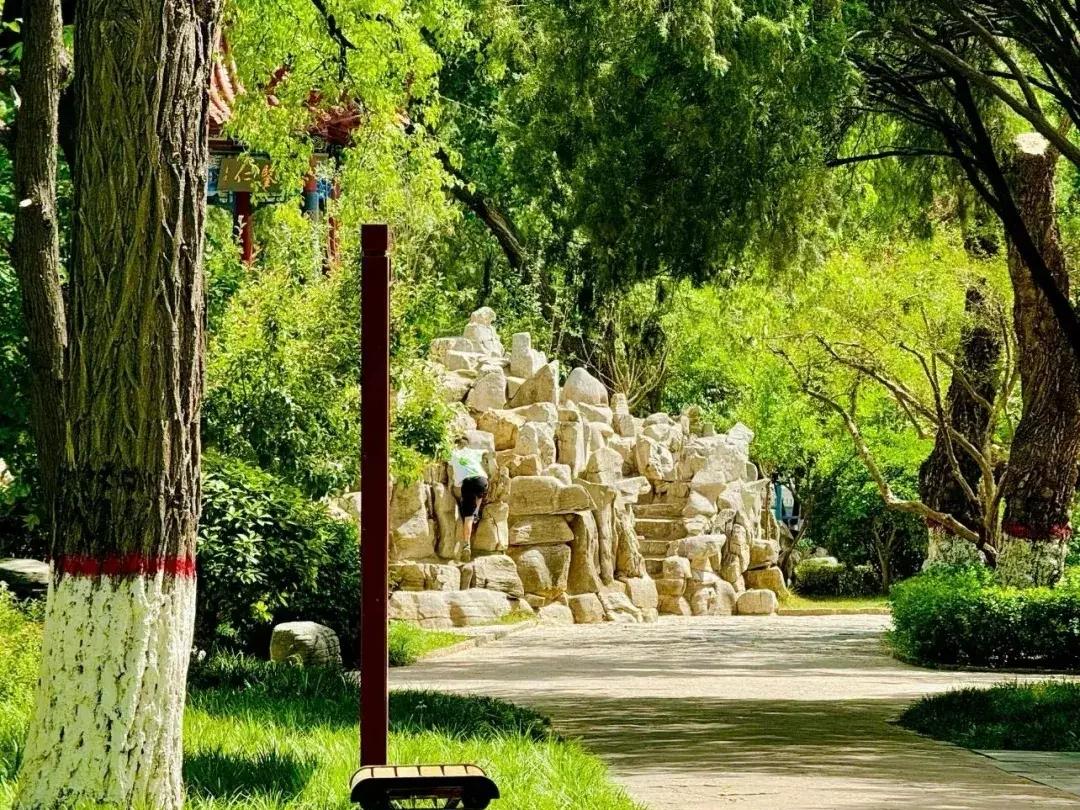 穿过聊城东昌路与柳园路的车流声浪，就像掀开了聊城夏日另一页——这里收藏着老城区最