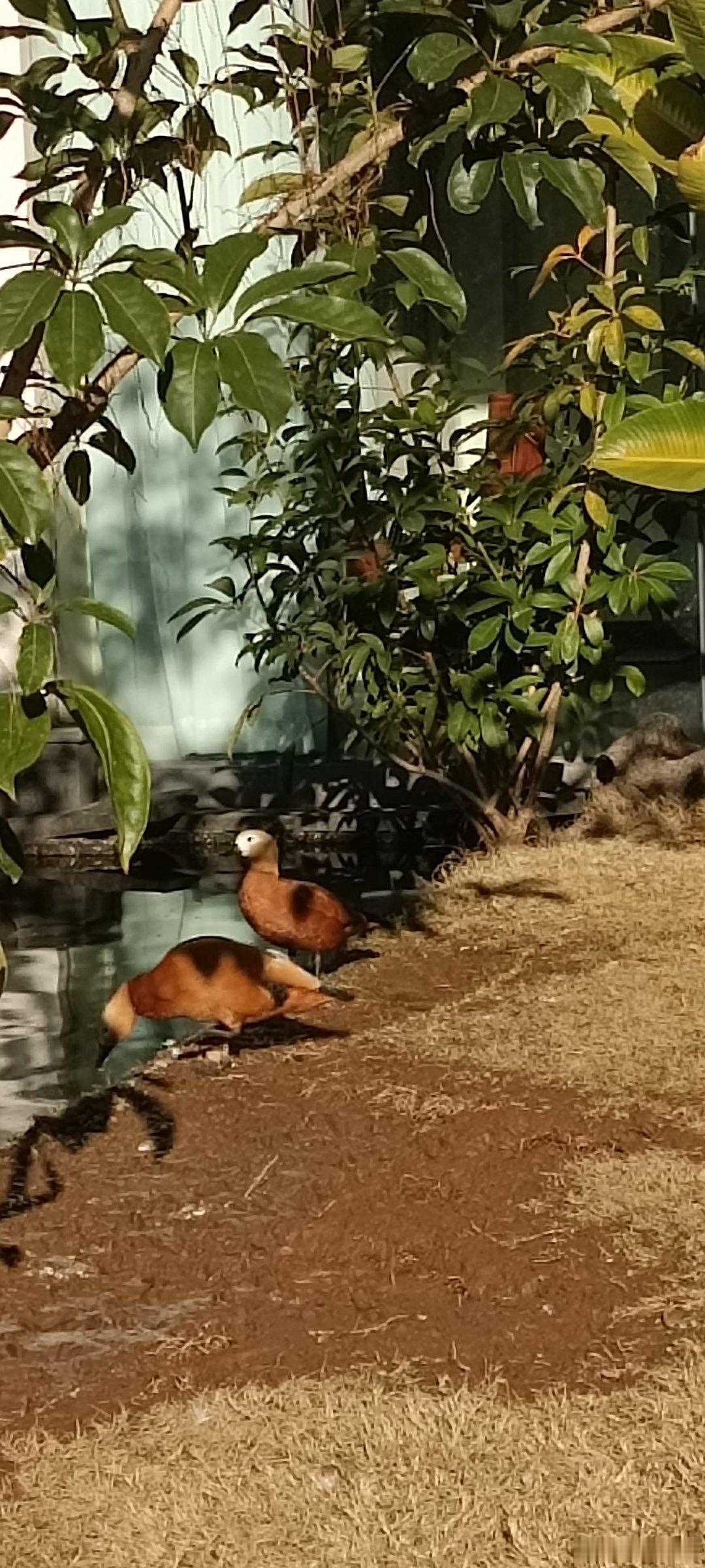 各就各位，怡然自得。 