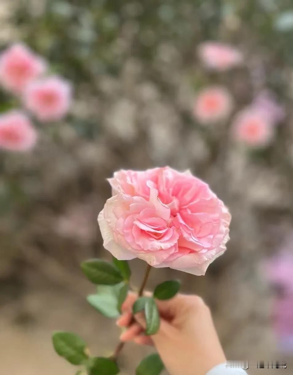 和春天交换颜色
和野草交换生命力

和孤独交换深度
和欢喜交换‬快乐

和宇宙交