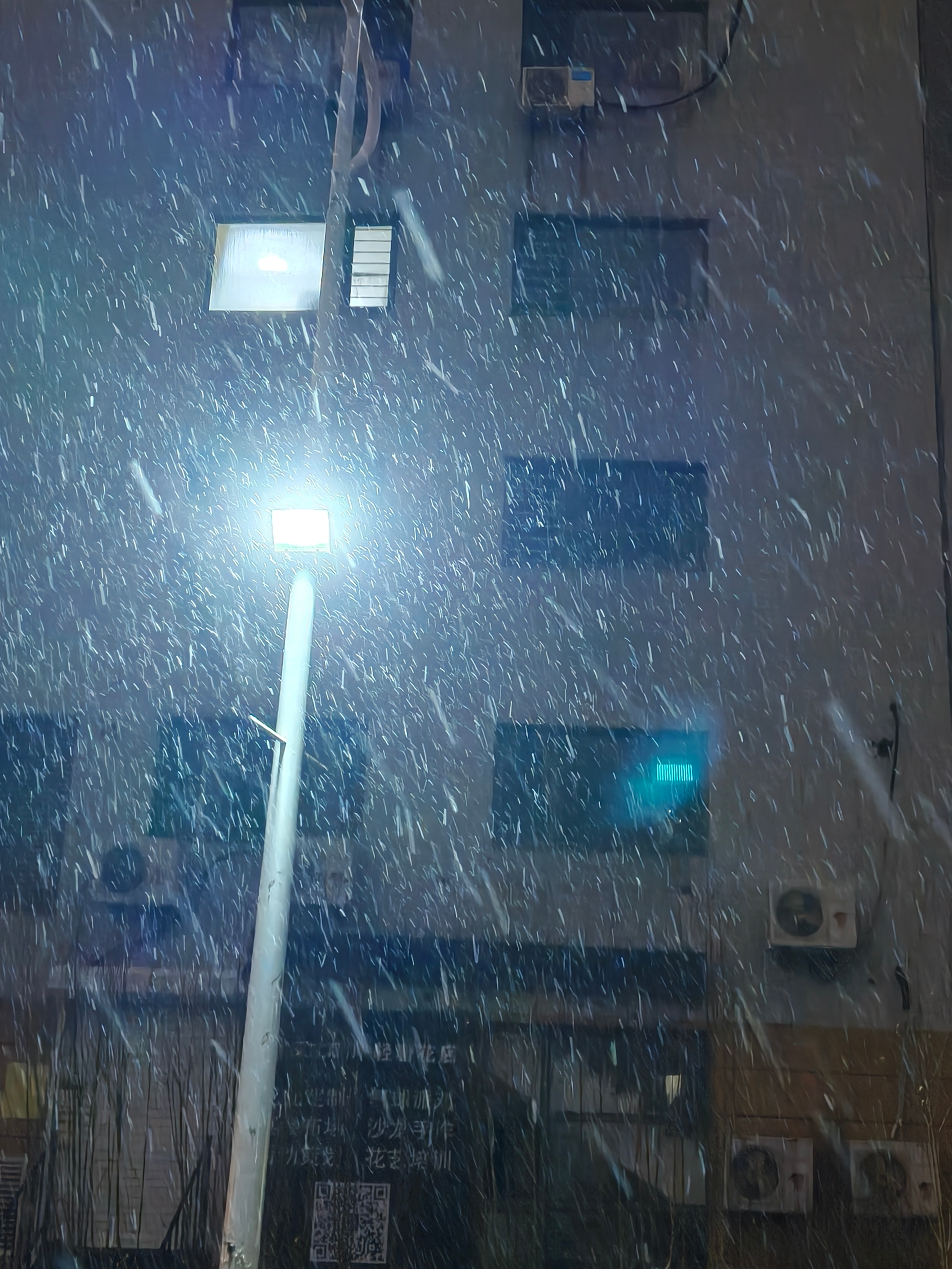 这雪下的越来越大了 