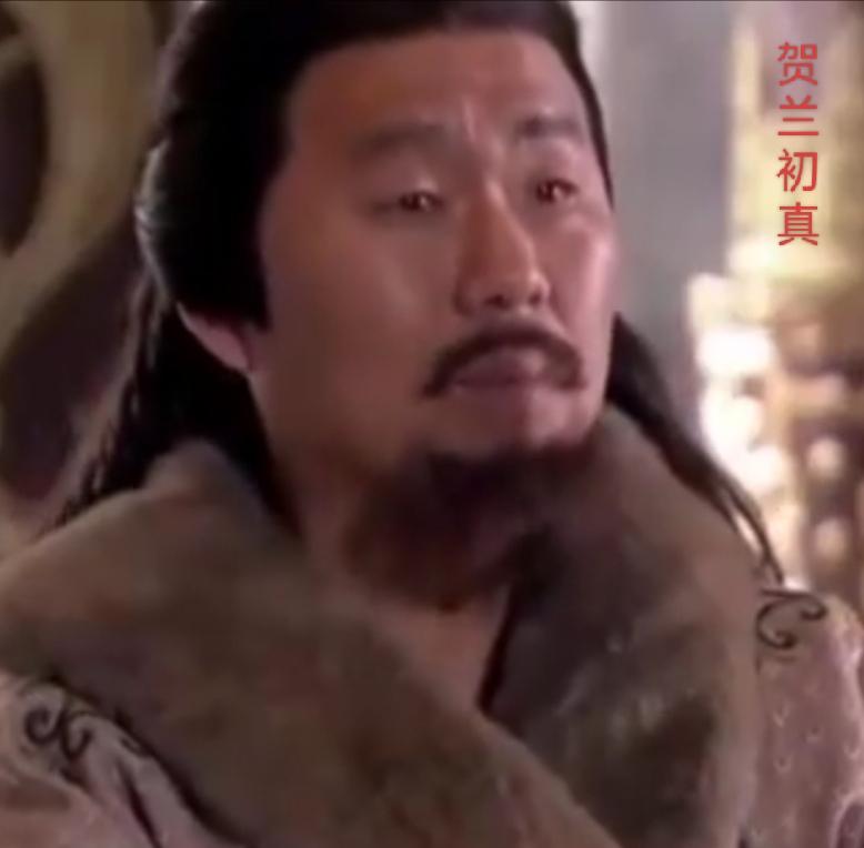 贺兰初真，代郡武川（今内蒙古自治区武川县）的鲜卑族人，北周大司马贺兰祥之父，北周