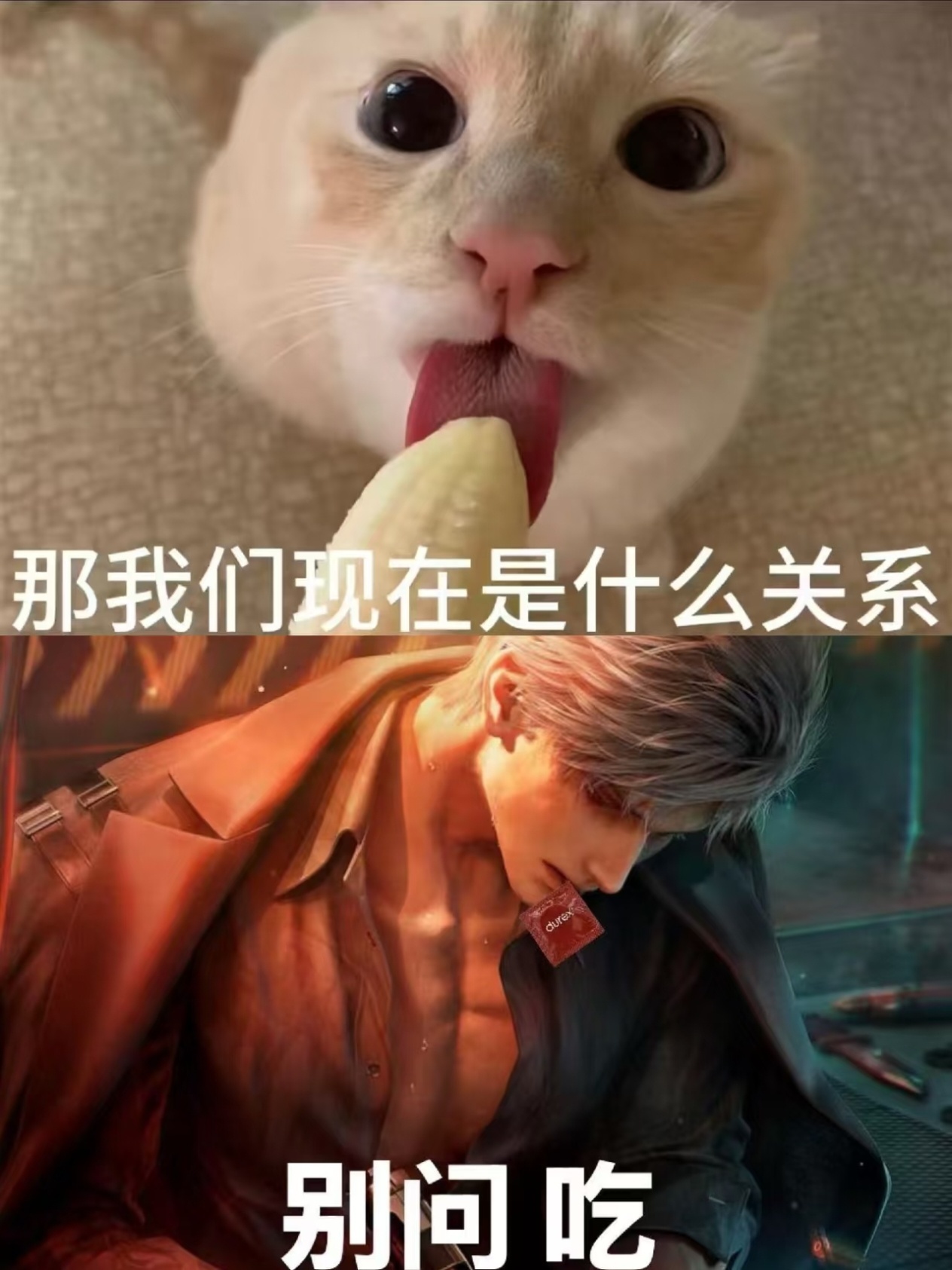 我受不了了明明今天的一连串重击还有折磨使我本处于一个重度养胃的状态，日活都懒得做